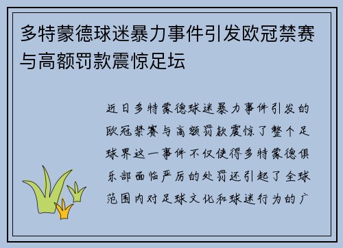 多特蒙德球迷暴力事件引发欧冠禁赛与高额罚款震惊足坛