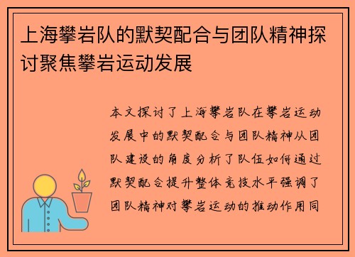 上海攀岩队的默契配合与团队精神探讨聚焦攀岩运动发展